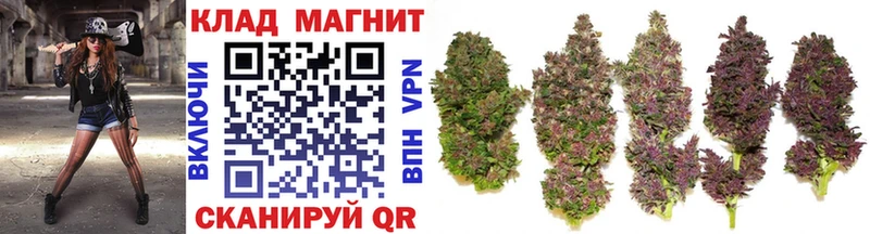 Купить закладку Новосибирск Амфетамин  Cocaine  Мефедрон  Бошки Шишки  ГАШ 