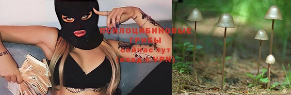 a pvp Абаза