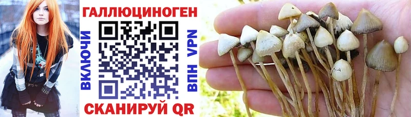 Галлюциногенные грибы Cubensis  наркотики  Новосибирск 