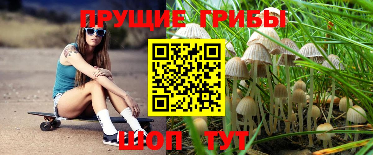 Псилоцибиновые грибы Psilocybine cubensis  купить наркотики цена  Новосибирск  Вход с VPN  Псилоцибиновые грибы мухоморы 