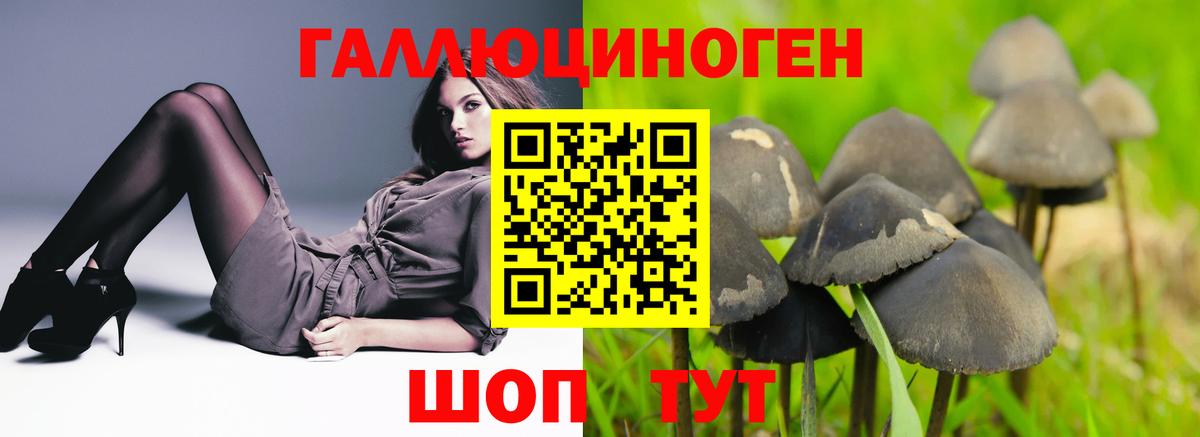 Галлюциногенные грибы Magic Shrooms Новосибирск