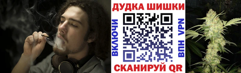 Каннабис OG Kush Новосибирск