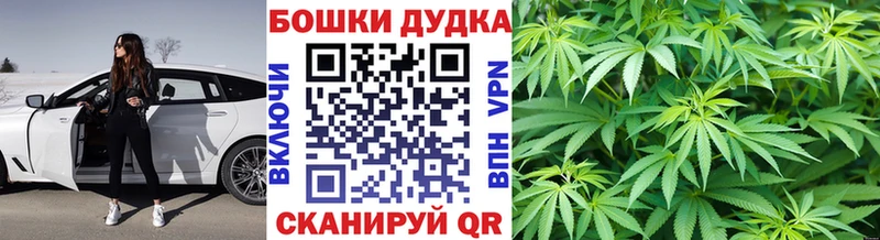Марихуана план Новосибирск